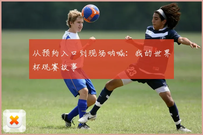 从预约入口到现场呐喊：我的世界杯观赛故事